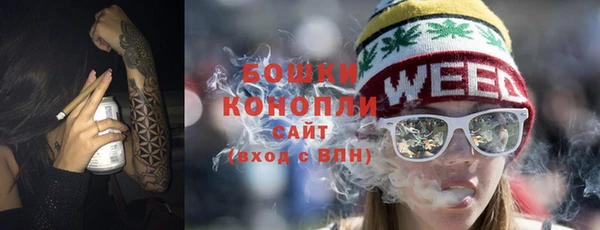 прущие грибы Вязники