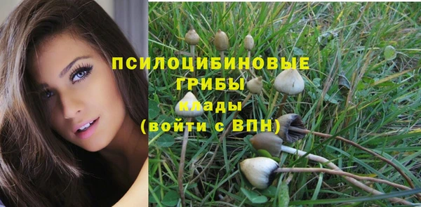 альфа пвп Вяземский
