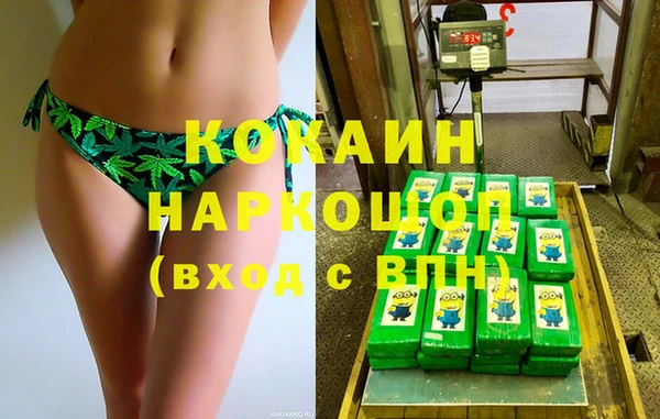 прущие грибы Вязники