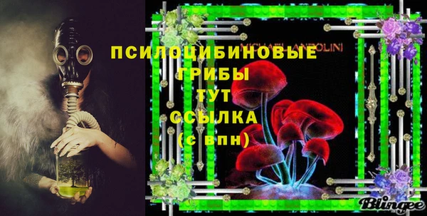 прущие грибы Вязники