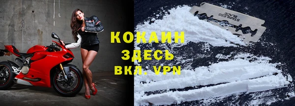 прущие грибы Вязники