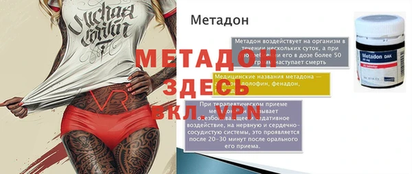 прущие грибы Вязники