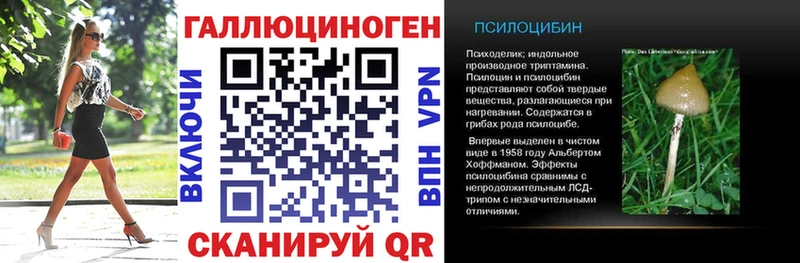 Псилоцибиновые грибы мицелий  Заводоуковск 